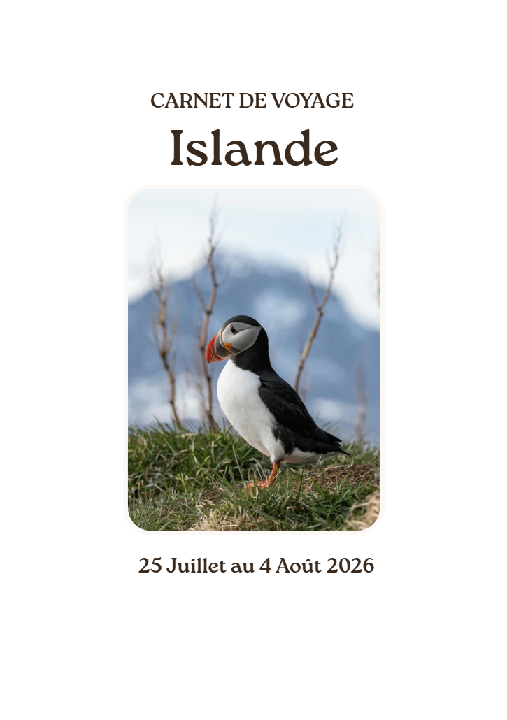 Capture d'écran 2026-02-20 121747