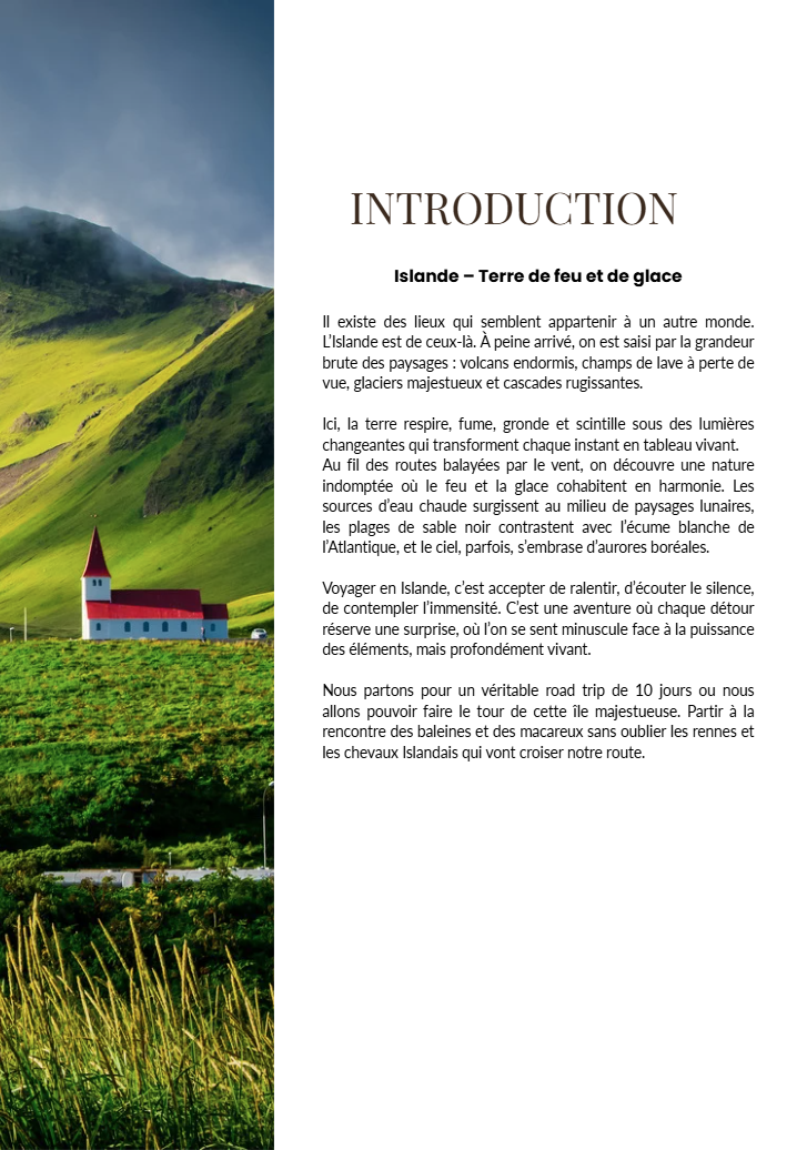 Capture d'écran 2026-02-20 122034